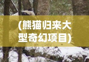 (熊猫归来大型奇幻项目) 熊猫归来：拯救与保护，探索中国野生熊猫回归自然的旅程！